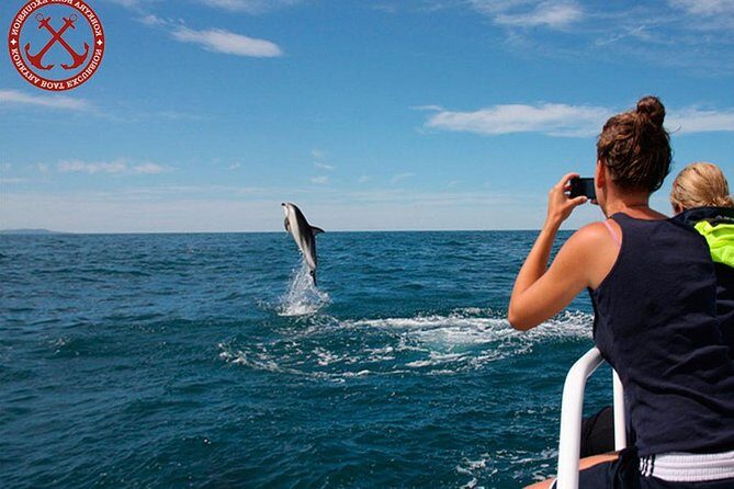 Dolphins Watching in the National Park Brijuni from Pula - Who Is This Tour Best For?