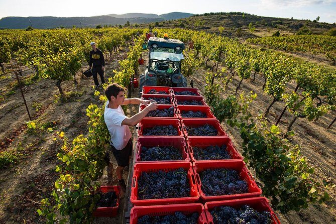 Domain visit - Why This Tour Works for Travelers