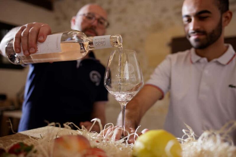 Domaine de Soustres, Montady : Visit and Tasting - A Detailed Look at the Domaine de Soustres Visit and Tasting