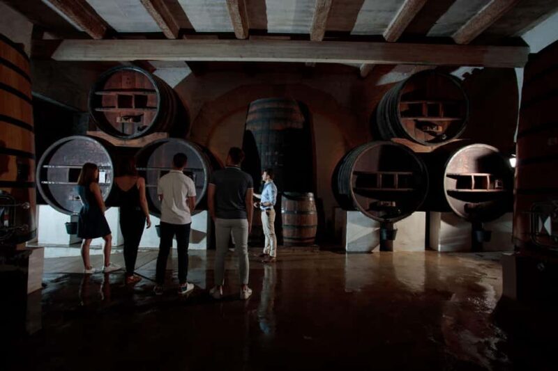 Domaine de Soustres, Montady : Visit and Tasting - Final Thoughts