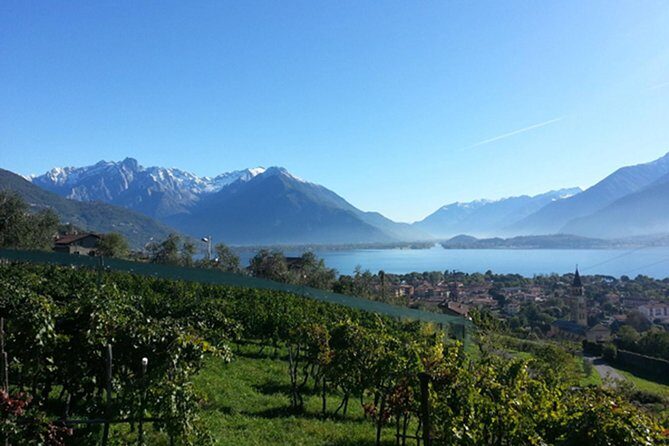 Domaso: Wine Tasting at the Winery on Como Lake - A Closer Look at the Experience