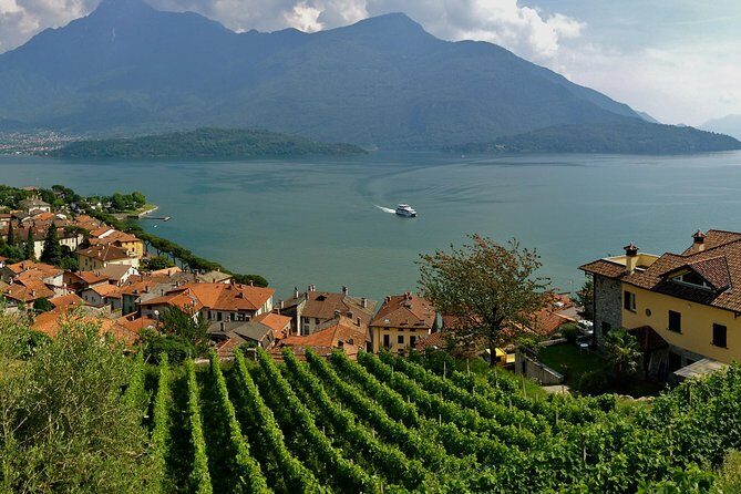 Domaso: Wine Tasting at the Winery on Como Lake - The Sum Up