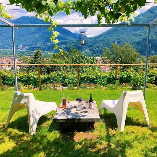 Domodossola: Savor Wines & Local Treats in a Scenic Vineyard - An In-Depth Look at the Experience