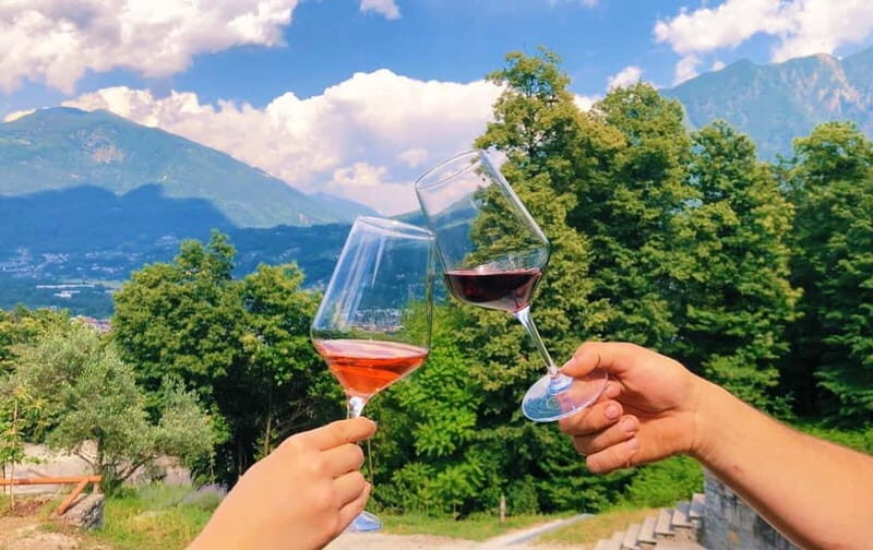 Domodossola: Savor Wines & Local Treats in a Scenic Vineyard - Who Would Enjoy This Experience Most?