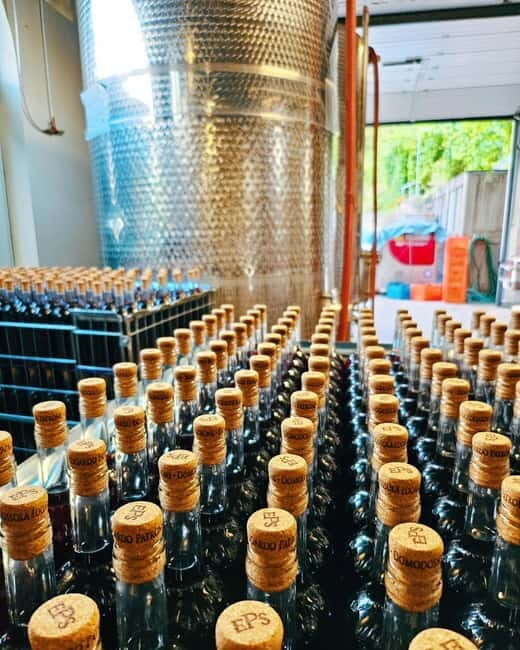 Domodossola: Savor Wines & Local Treats in a Scenic Vineyard - FAQ