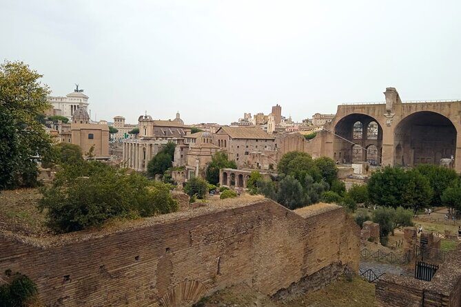 Domus Tiberiana and The Ruins of Ancient Rome Guided Tour - Who Is This Tour For?