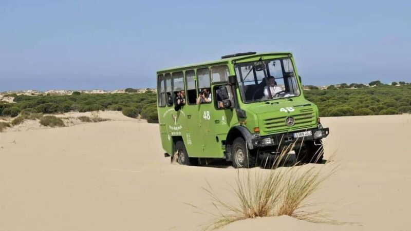Doñana: 4x4 tour of the national park and beaches - Practical Details and Tips