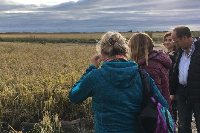 Donana National Park and El Rocío: Guided Tour from Seville - Final Thoughts