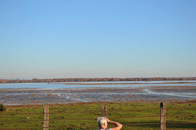 Donana National Park and El Rocío: Guided Tour from Seville - FAQ