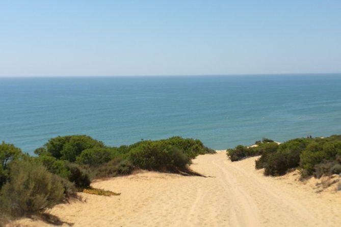 Donana National Park and El Rocío: Private Tour from Seville - In-Depth Review of the Experience