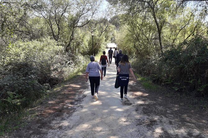 Doñana National Park in 4x4 and El Rocío - The Charm of El Rocío