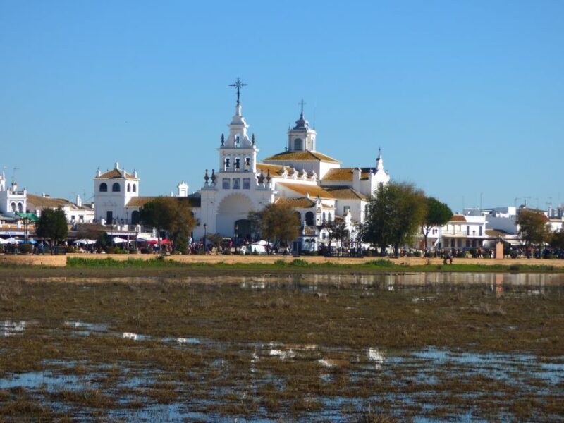 Doñana National Park Off-Road Tour from Seville - Final Thoughts