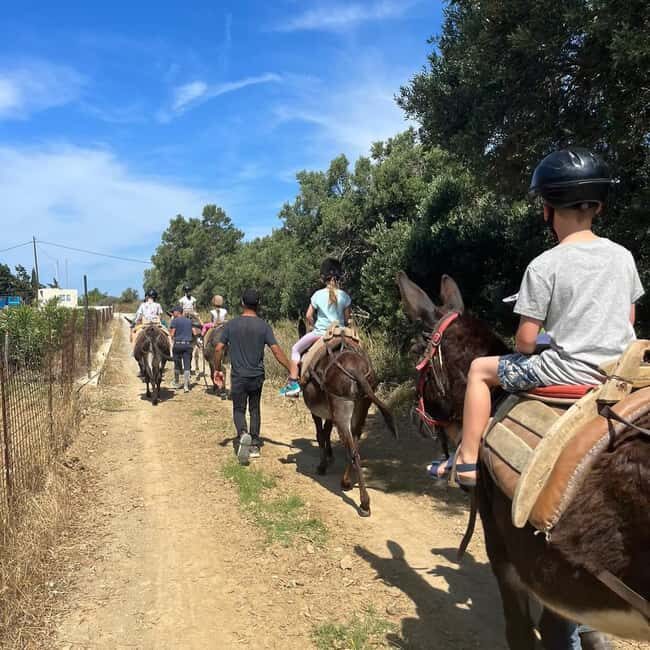 Donkey Ride - Cretan Country - What Makes This Donkey Ride Special? An Authentic Look at Crete’s Rural Charm