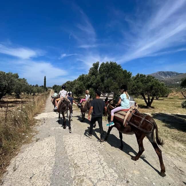 Donkey Ride - Cretan Country - What to Expect During the Ride