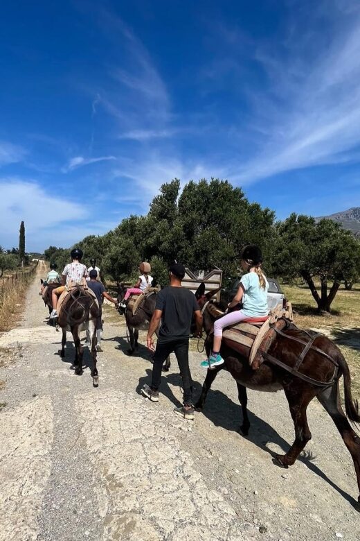 Donkey Ride - Cretan Country - Accessibility and Practical Tips