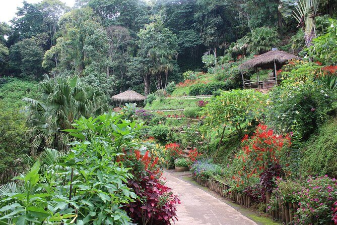 DON'T miss It ! Doi suthep temple+ Hmong village - Who Will Love This Tour?