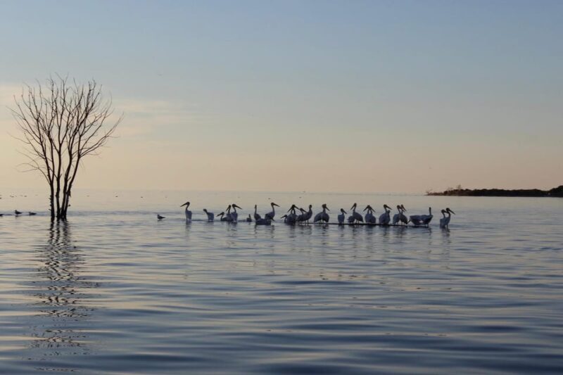 Door County Historic Cottage Row & Strawberry Islands Cruise - Frequently Asked Questions