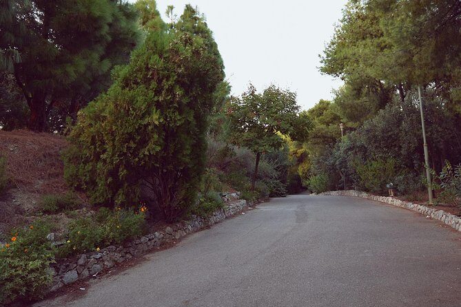 Dora Stratou Greek Dancing Show Skip-the-Line Ticket - Who Will Love This Experience?