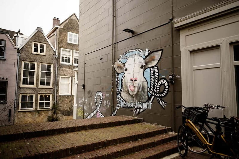 Dordrecht: Street Art Tour - A Deep Dive into the Dordrecht Street Art Tour