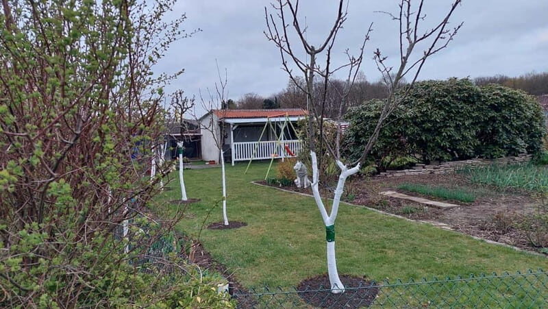 Dortmund: Allotment Garden Tour - Key Points