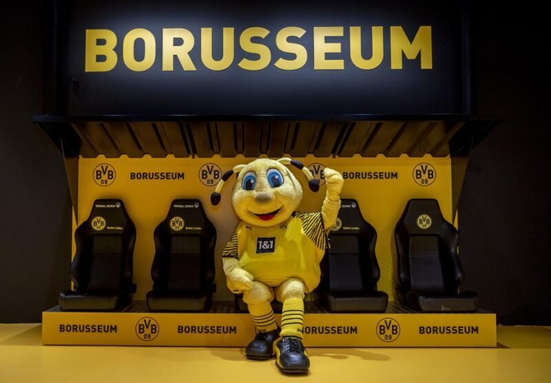 Dortmund: Borusseum Borussia Dortmund Museum Entry Ticket - A Detailed Look at the Borusseum Experience