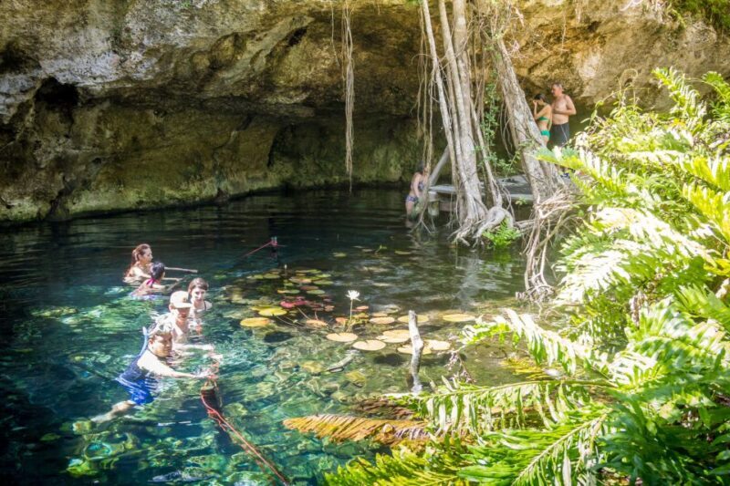 Dos Cenotes Adventure: Swim, Explore & Taste - An Overview of the Dos Cenotes Adventure
