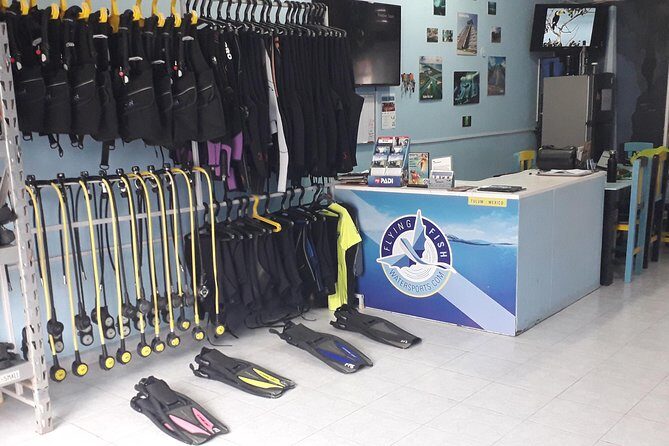 Dos Ojos Cenote Cavern Dive- The Barbie Line and The Bat Cave - The Sum Up