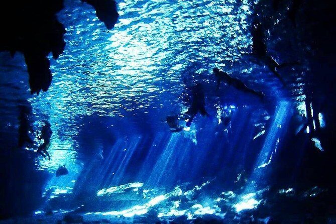 Dos Ojos Cenote Cavern Dive- The Barbie Line and The Bat Cave - FAQ