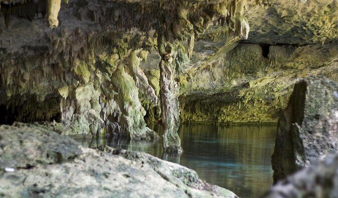 Dos Ojos Cenote VIP Private Tour  Snorkeling & Mayan Lunch - Key Points