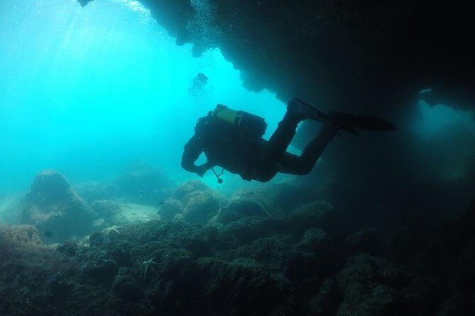 Double Dive in Cascais - go further and go under! - Who Is This Tour Best For?