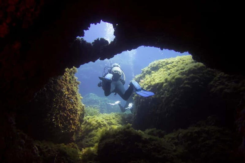 Double dive in Menorca: Discover Menorca's Marine Reserve - Who Should Consider This Experience