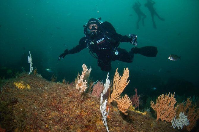 Double dive in the Algarve. Don't stop on the beach! - Key Points