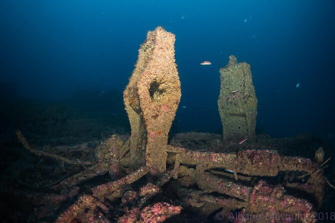 Double Dive the Fantastic Ocean Revival Park - Key Points