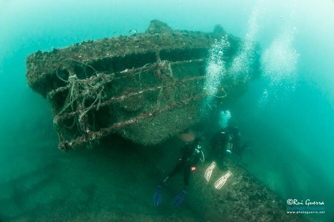 Double Dive the Fantastic Ocean Revival Park - The Details of the Tour