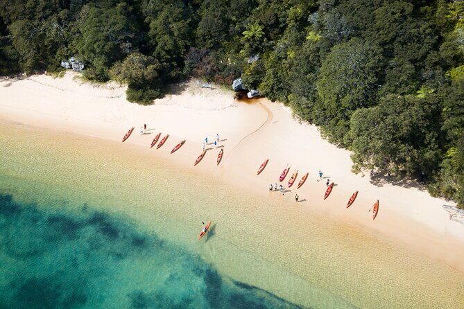 Double Kayak Hire - 4 Hours - Detailed Breakdown of the Itinerary