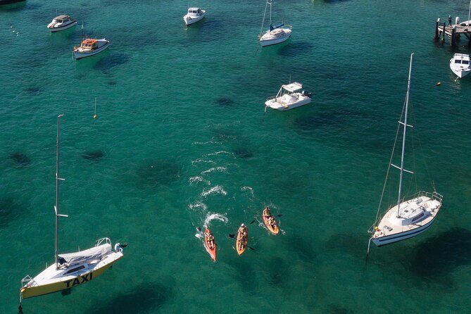 Double Kayak Hire - 4 Hours - What Makes This Experience Special?