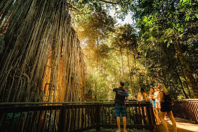 Double Pack-Ancient Rainforest and Waterfalls! - Exploring the Itinerary in Detail