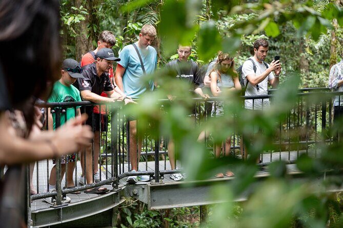 Double Pack-Ancient Rainforest and Waterfalls! - Who Should Consider This Tour?