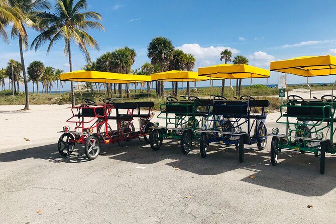 Double Quadricycle/Surrey Rental at Crandon Park - Authentic Experiences and Practical Insights from Reviews