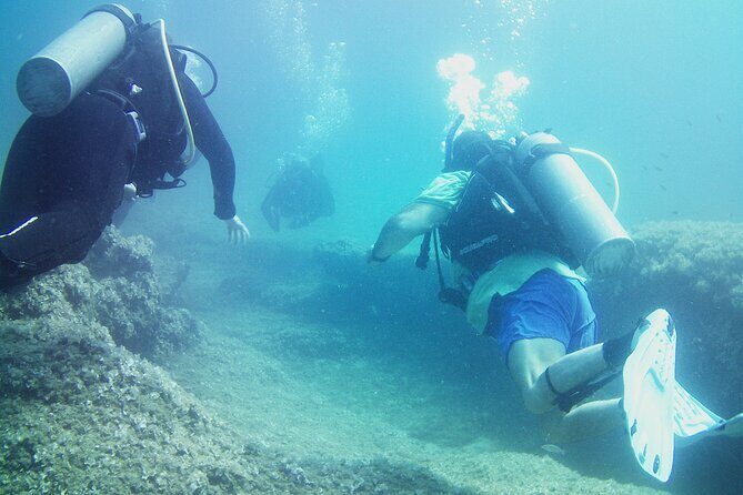 Double Shore Dive (certified divers) - Who Will Love This Tour?