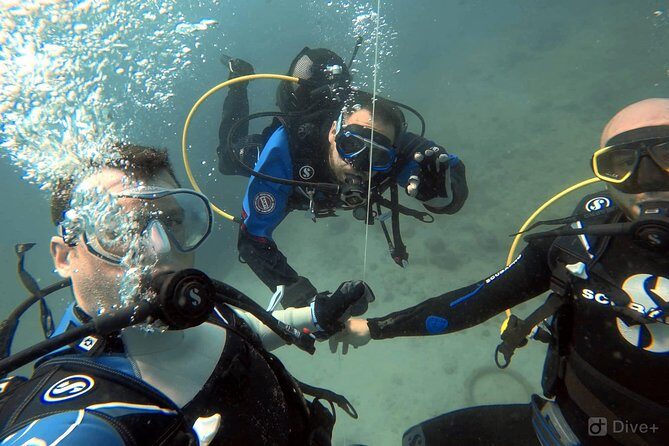 Double Shore Dive (certified divers) - Final Thoughts