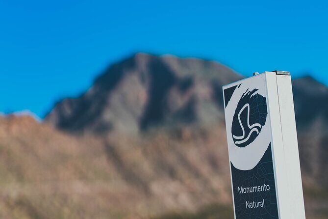 Double Tuk Tuk Tour in Costa Adeje - Transportation and Group Size