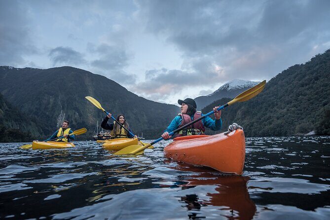 Doubtful Sound Overnight Cruise - Who Will Love This Tour?