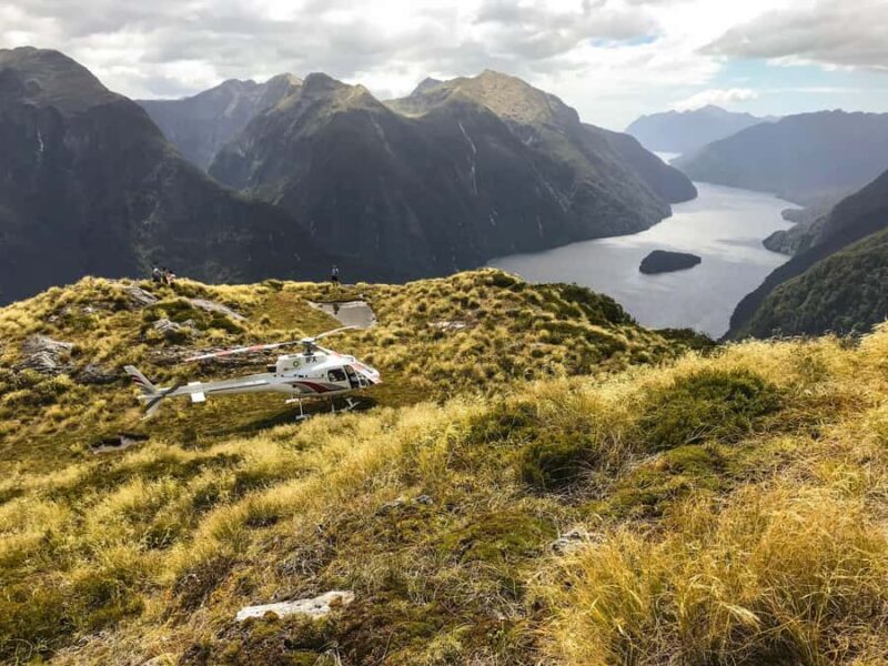 Doubtful Sound: Scenic Flight with 2 Landings - Who Will Love This Experience?