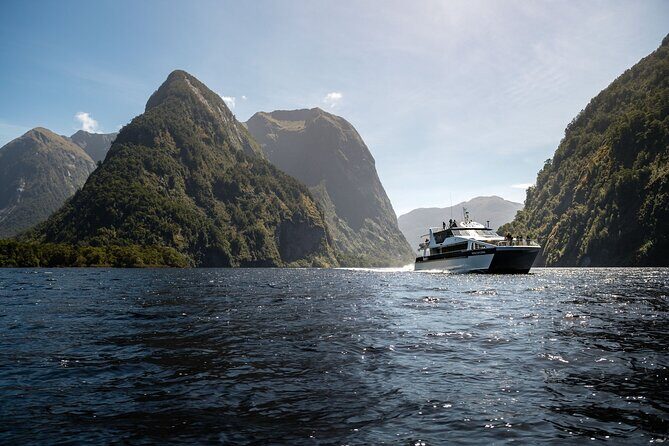 Doubtful Sound Wilderness Day Cruise from Manapouri - Introduction: What to Expect from the Doubtful Sound Wilderness Day Cruise