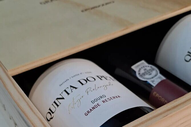 Douro and Port Wine Tasting in Vila Nova de Gaia - Final Thoughts