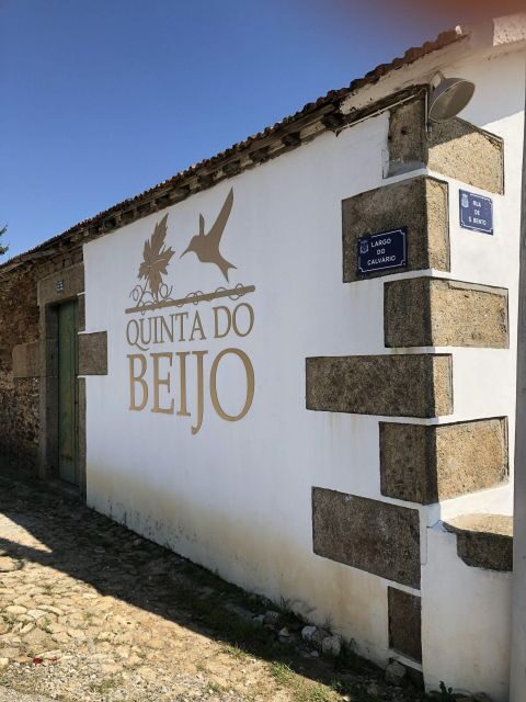 Douro: Classic Wine Tasting with Guided Tour - Key Points