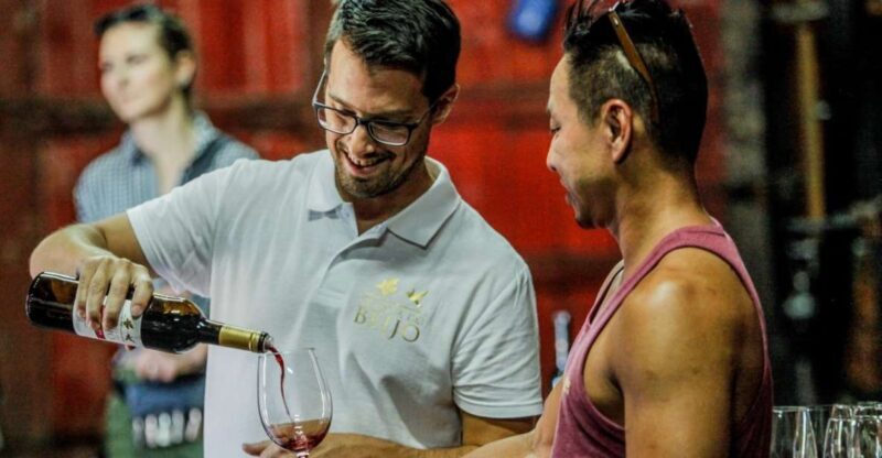 Douro: Classic Wine Tasting with Guided Tour - A Deep Dive Into the Douro Experience at Quinta do Beijo