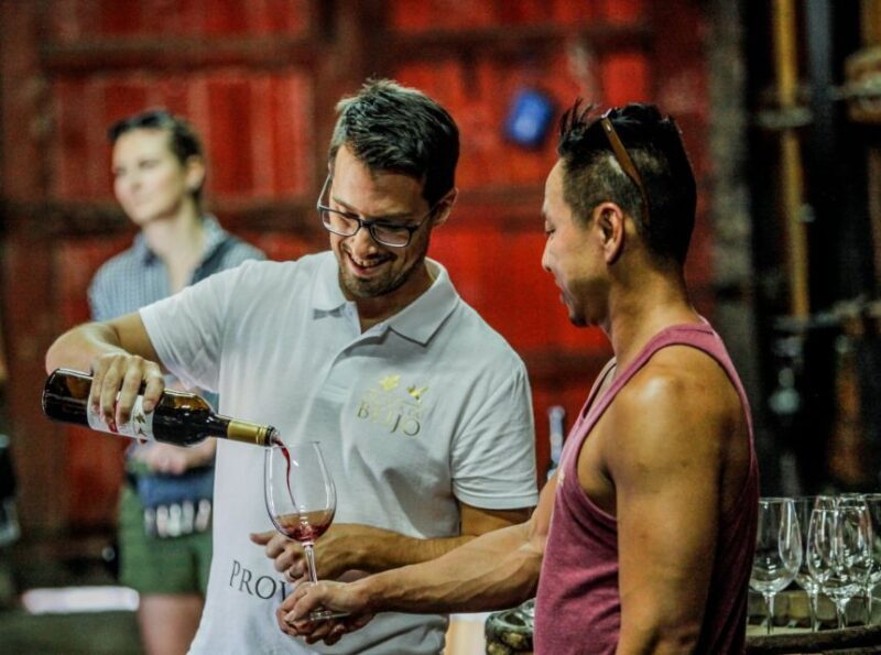 Douro: Classic Wine Tasting with Guided Tour - Final Thoughts on Value and Experience