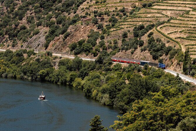 Douro Experience - Boat and Train Ride - Lunch and Wine Tasting - All Included - Who Would Love This Tour?